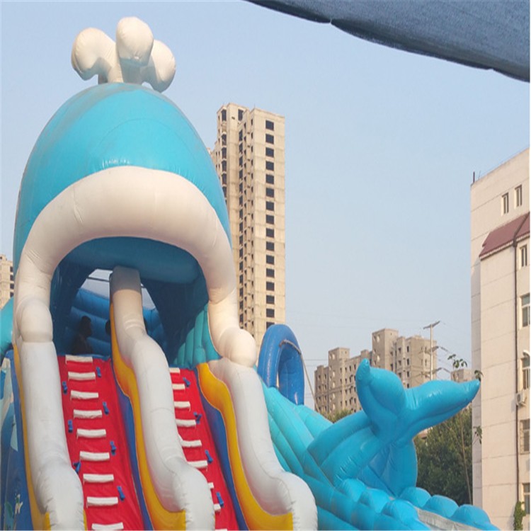 鹰手营子矿充气水上滑梯